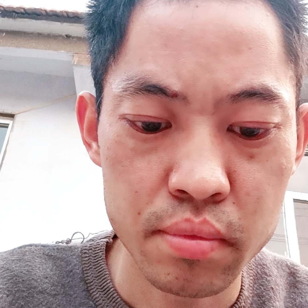 透彻和冰棍的照片