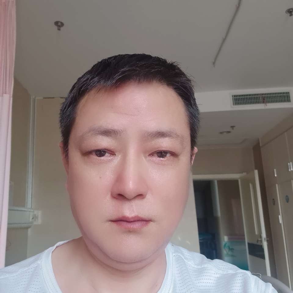 向日葵闻友好的照片