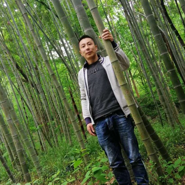 搞怪凝眸小松鼠的照片