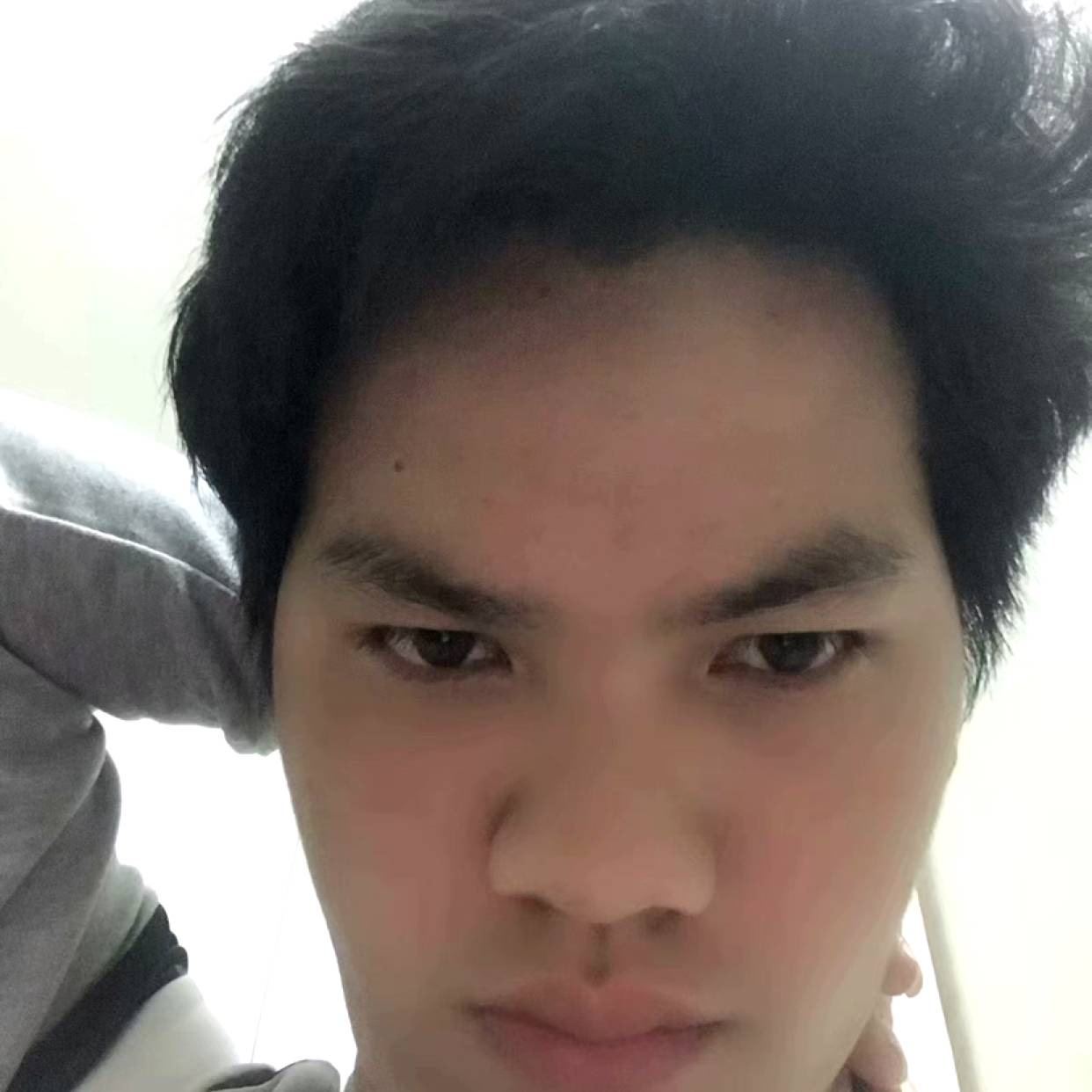 灵巧邂逅枕头的照片