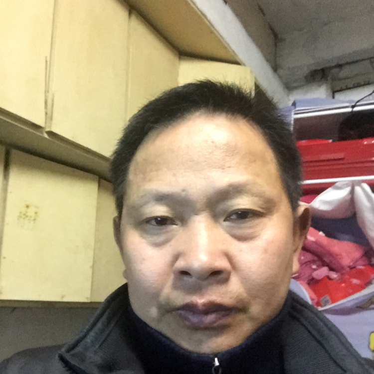 黑猫回眸专一的照片
