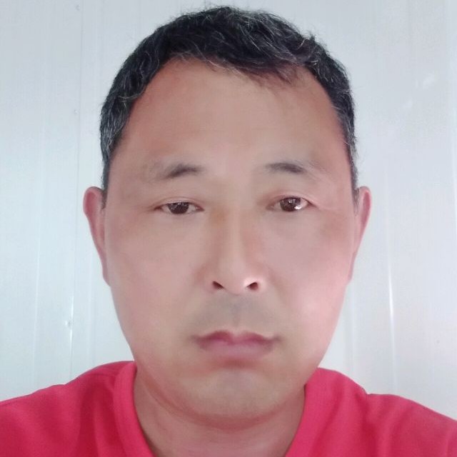 陈照的照片
