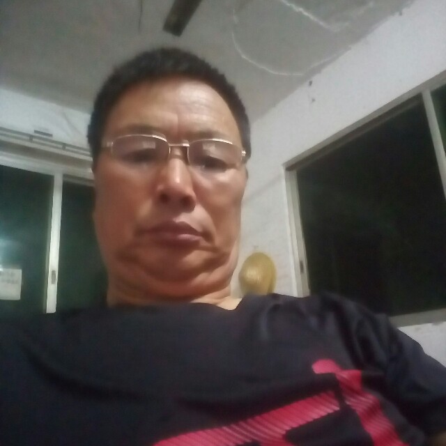 勤恳乌龟的照片