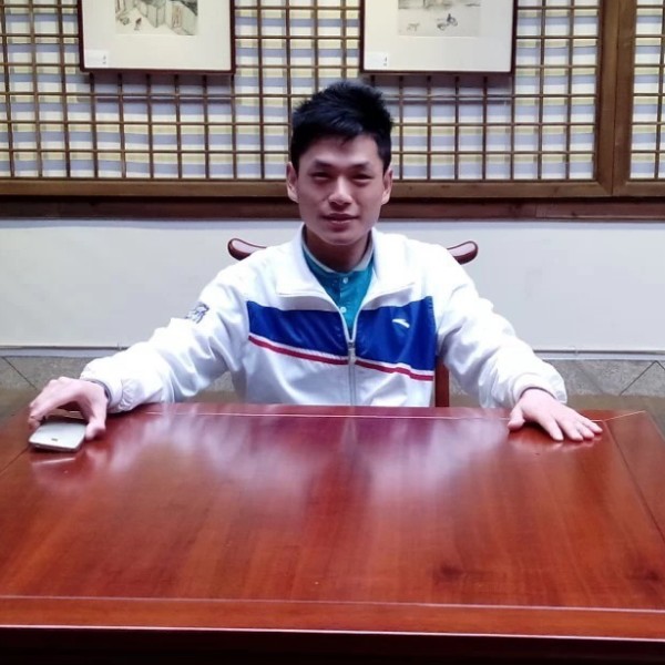 大象停止舒适的照片