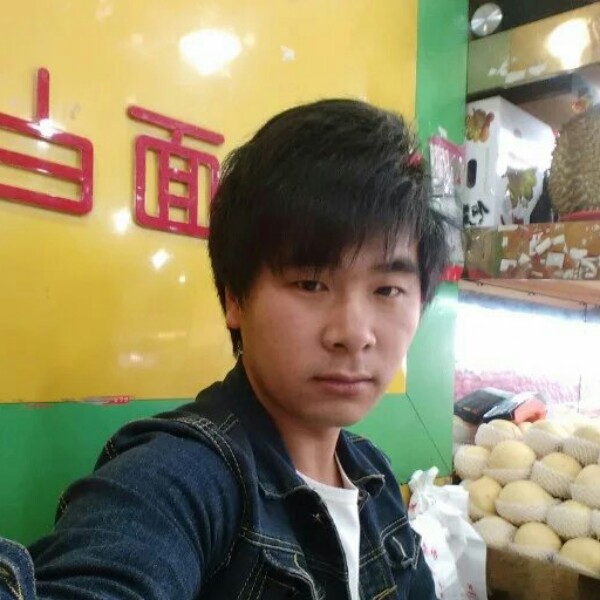 仙人掌漫步阳光的照片