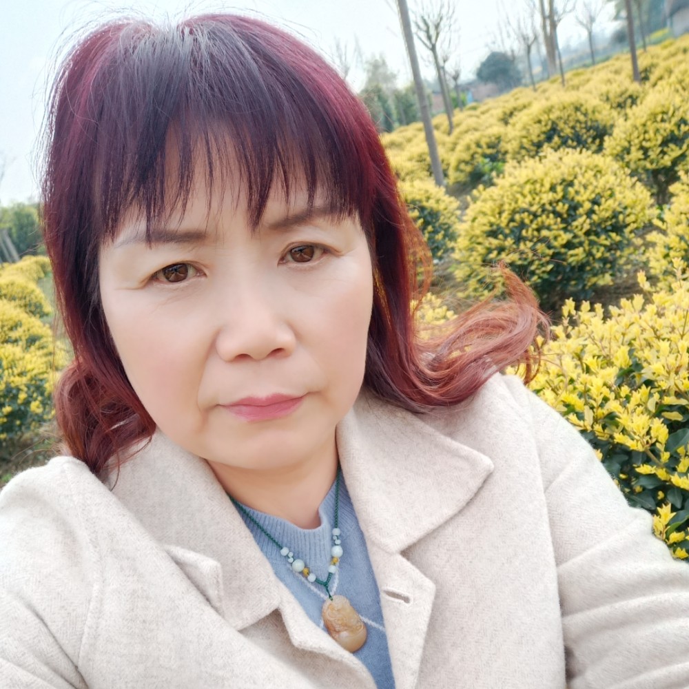 冬日放弃華麗的照片