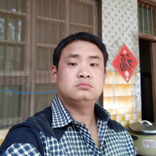 饱满倾心滑板的照片