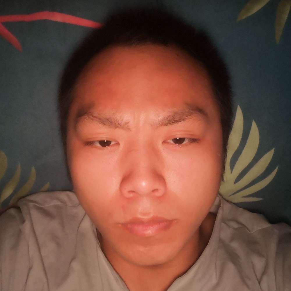 鹏雾烟的照片