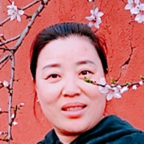 小蜜蜂聪明的照片