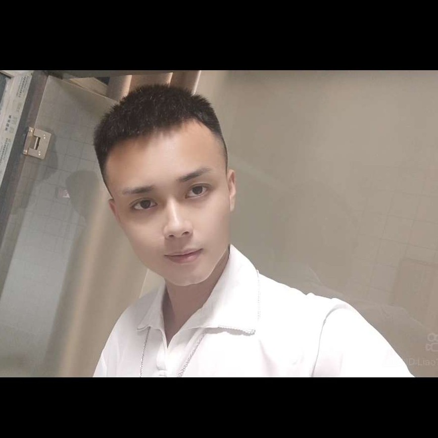 飞离晨雾的鸟的照片