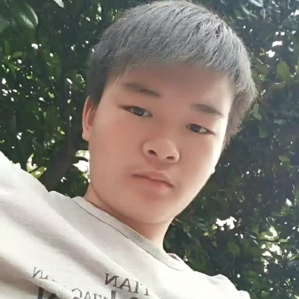 小黄5的照片