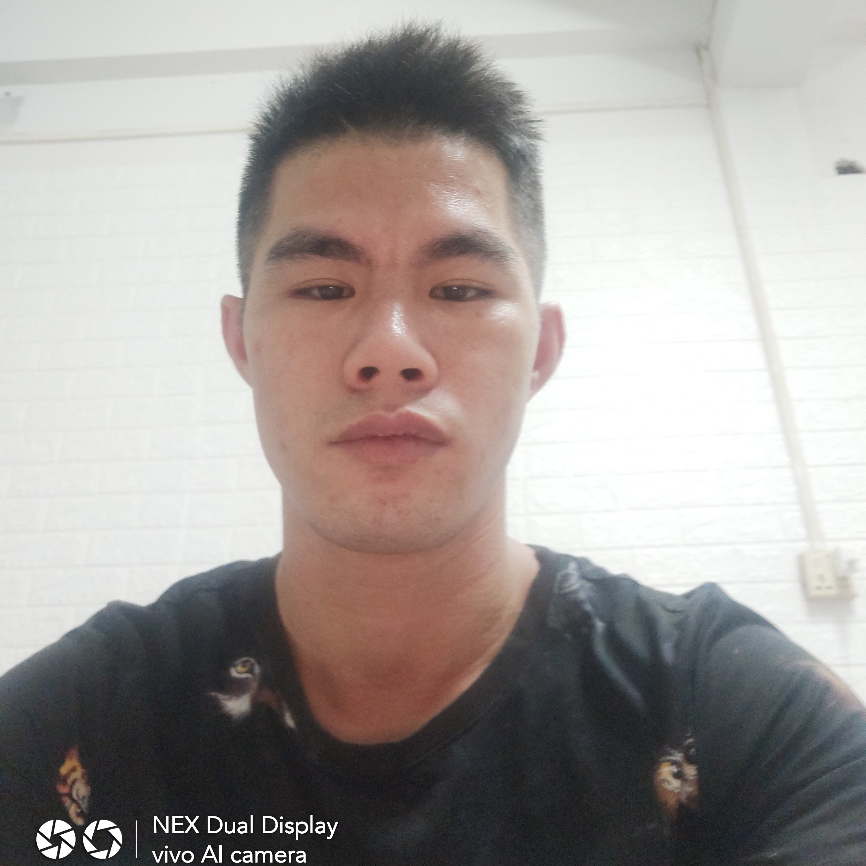 英勇浅吻太阳的照片