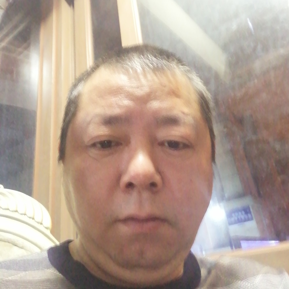 月光下的狐狸的照片