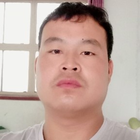 荷花怕孤独的照片