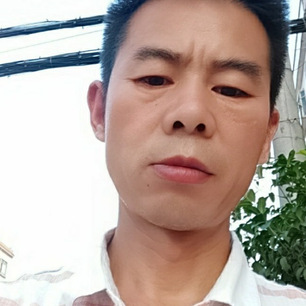 发夹友好的照片