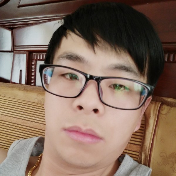 幸福的猪1的照片