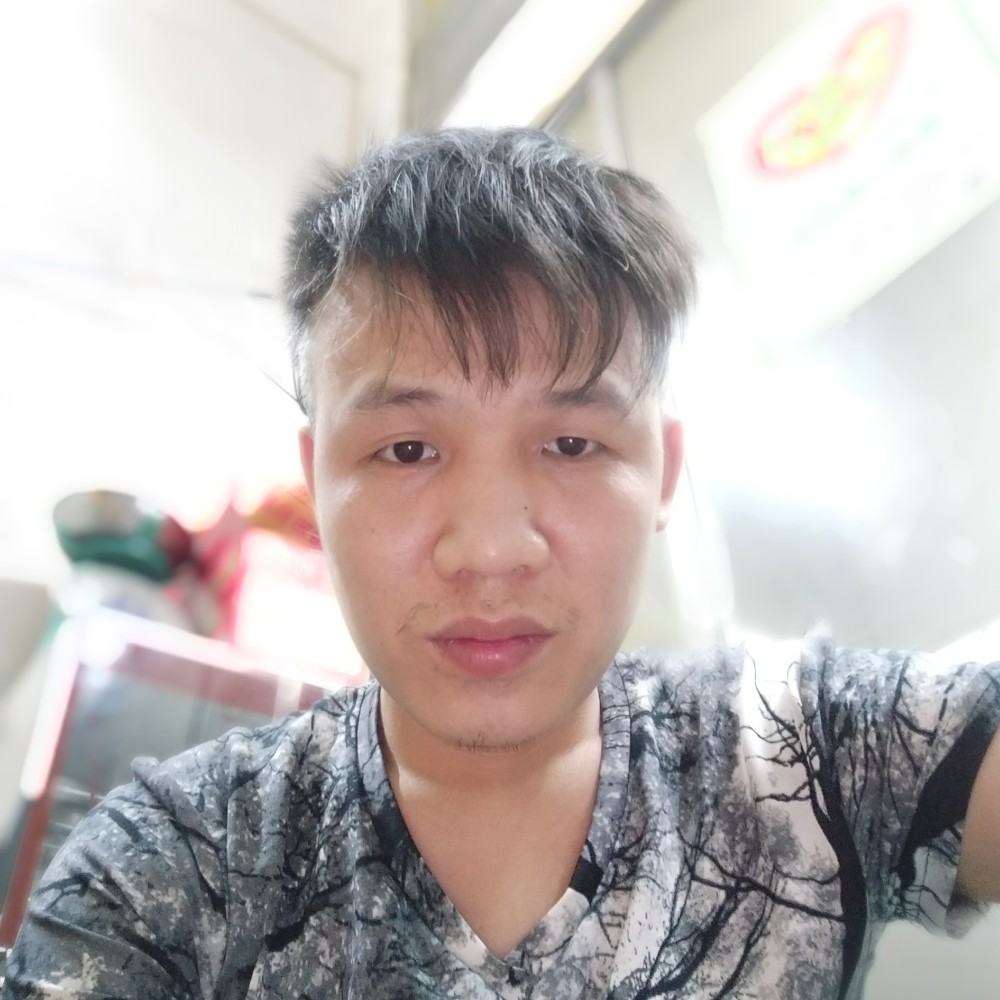 感动蜜蜂的照片
