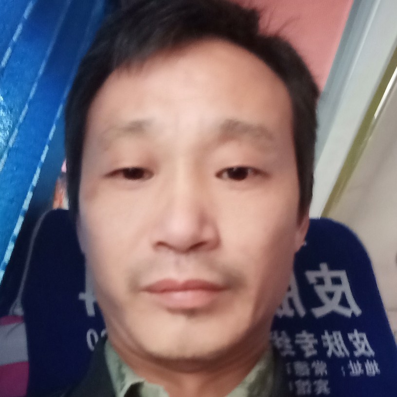老虎高挑的照片