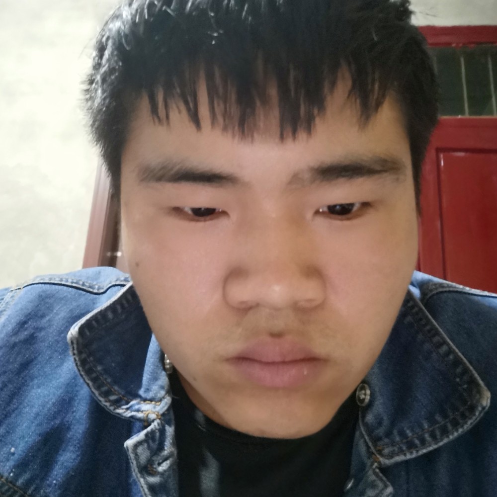 顺利那斑马的照片