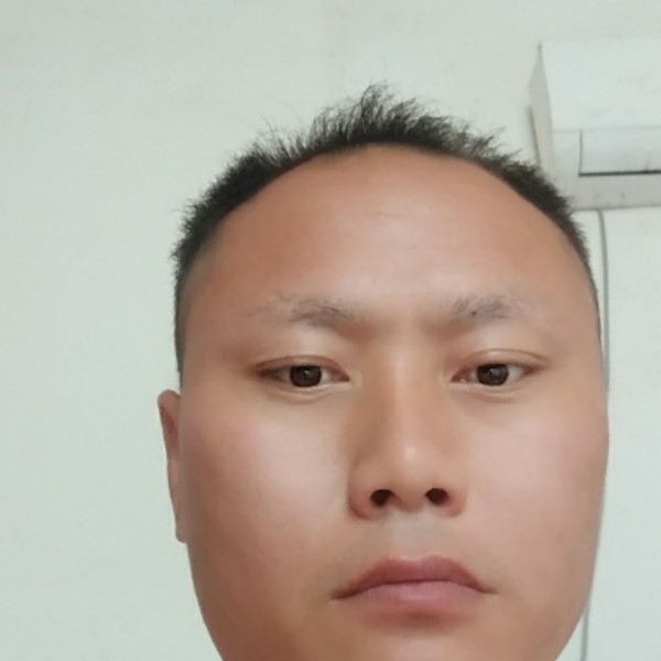 跳跃浅吻纸鹤的照片