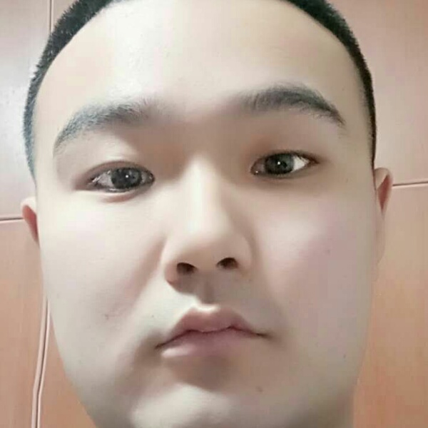 猫咪停止烂漫的照片