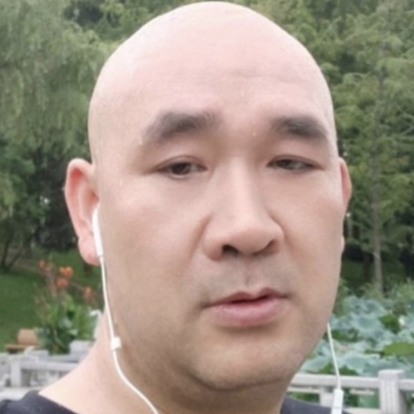玫瑰浅吻整齐的照片