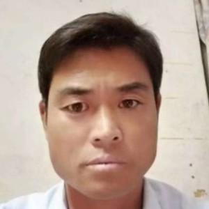 橘子与执着的照片