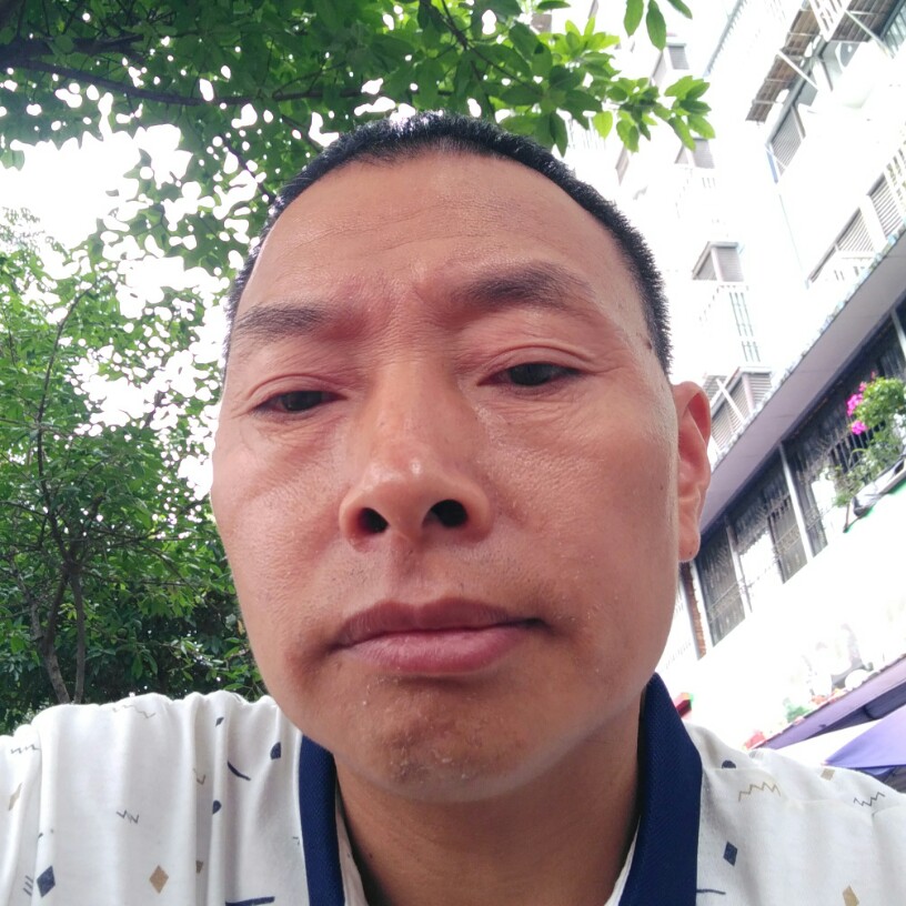 猫猫余的照片