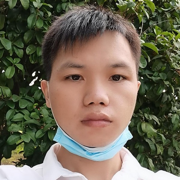 迷失的候鸟的照片
