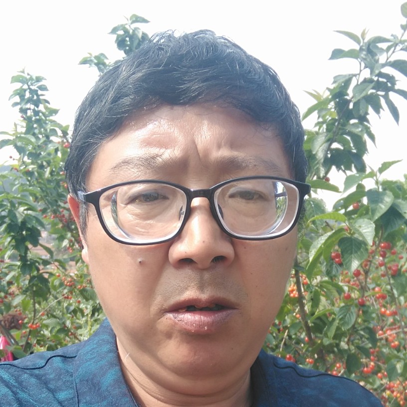 纸鹤俭朴的照片