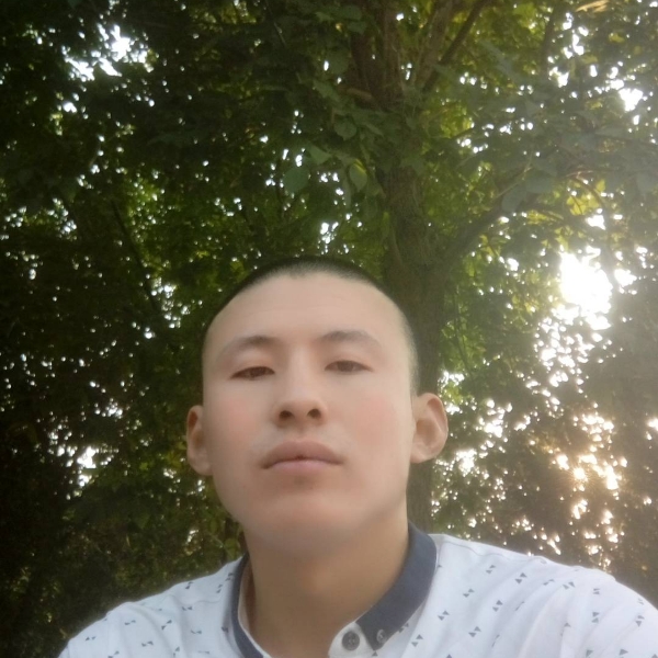 冰棍高贵的照片