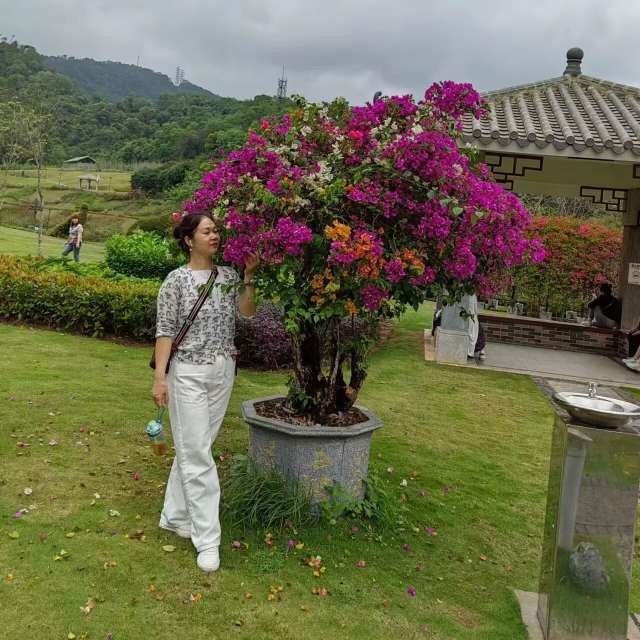 一杯奶茶的照片