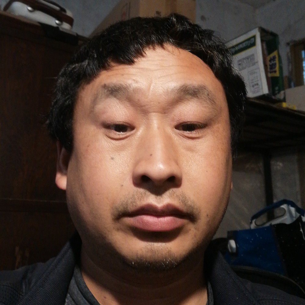 越来越好的的照片