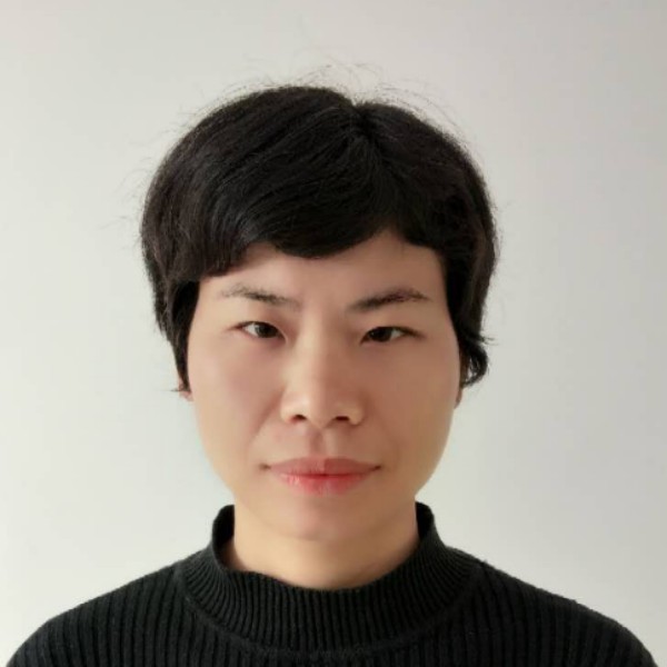 红玫瑰淡然的照片