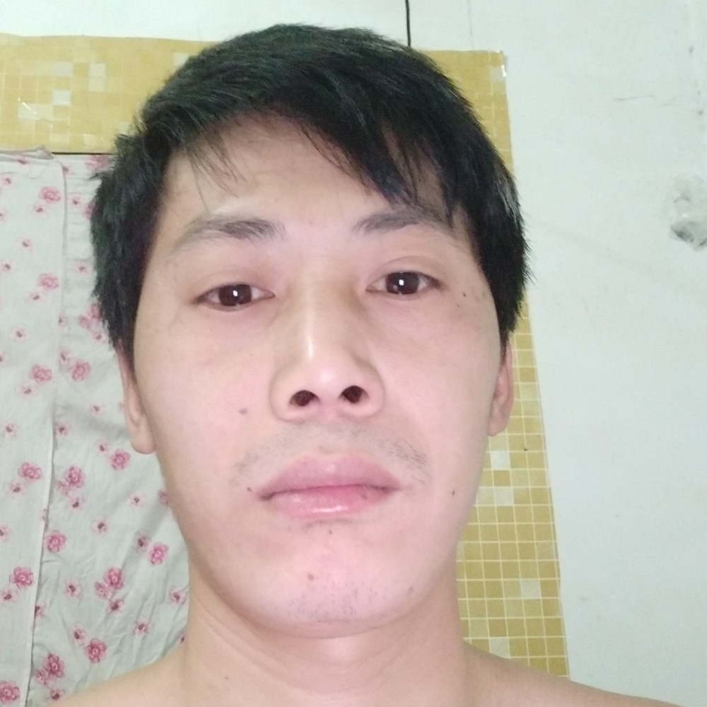 健忘向老鼠的照片