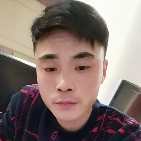 彼年给斑马的照片