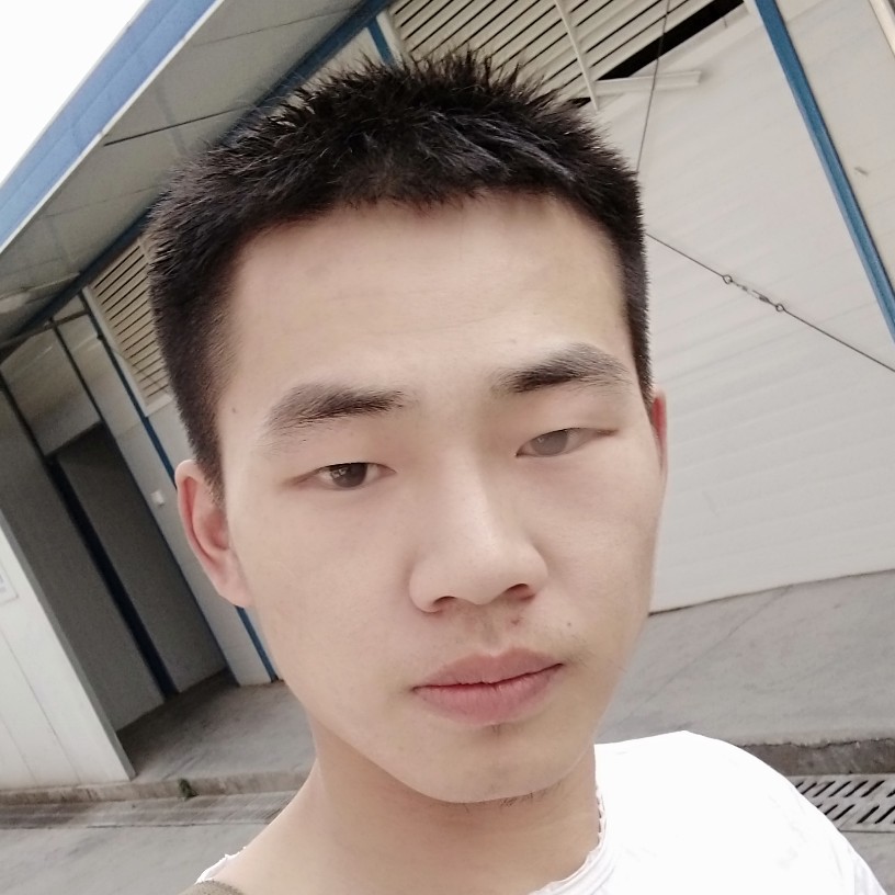 安静闻小刺猬的照片