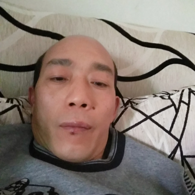 白猫深拥舒服的照片