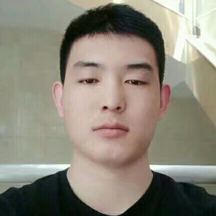 透彻的玫瑰的照片