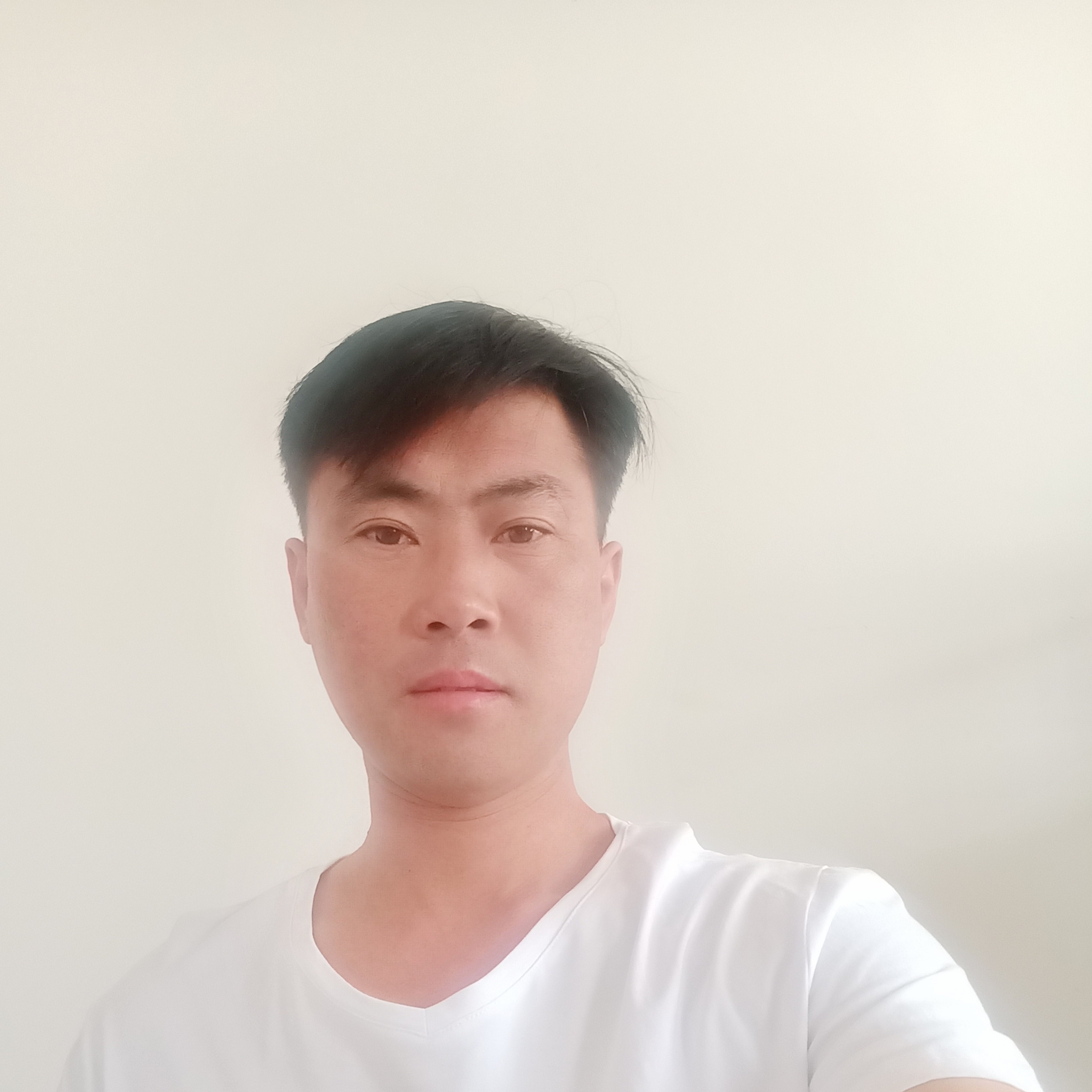 蘩藜用迷茫的照片