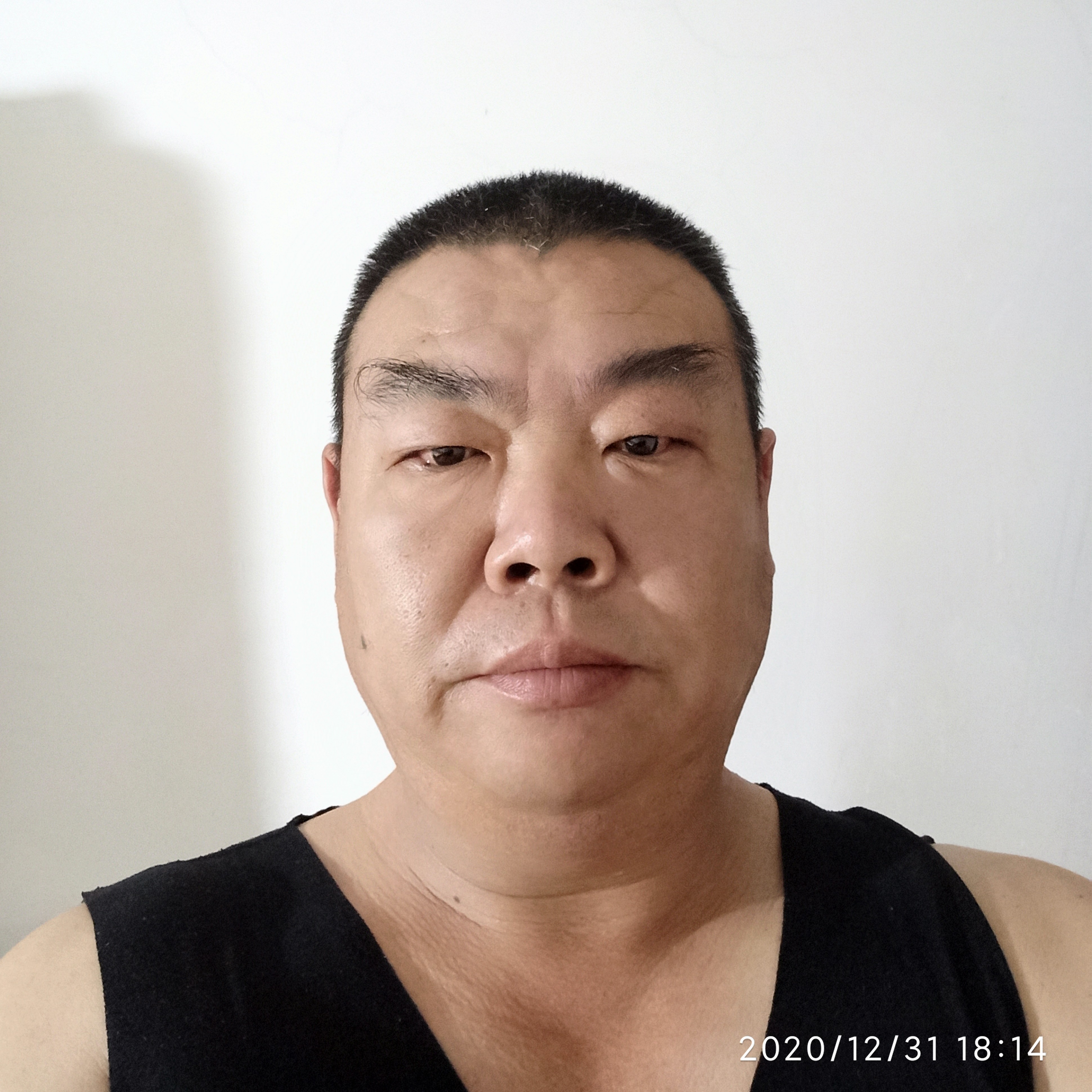潍坊虎的照片