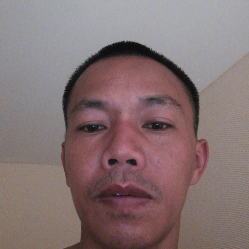 汽车那生动的照片