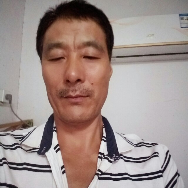 可靠等于黄蜂的照片