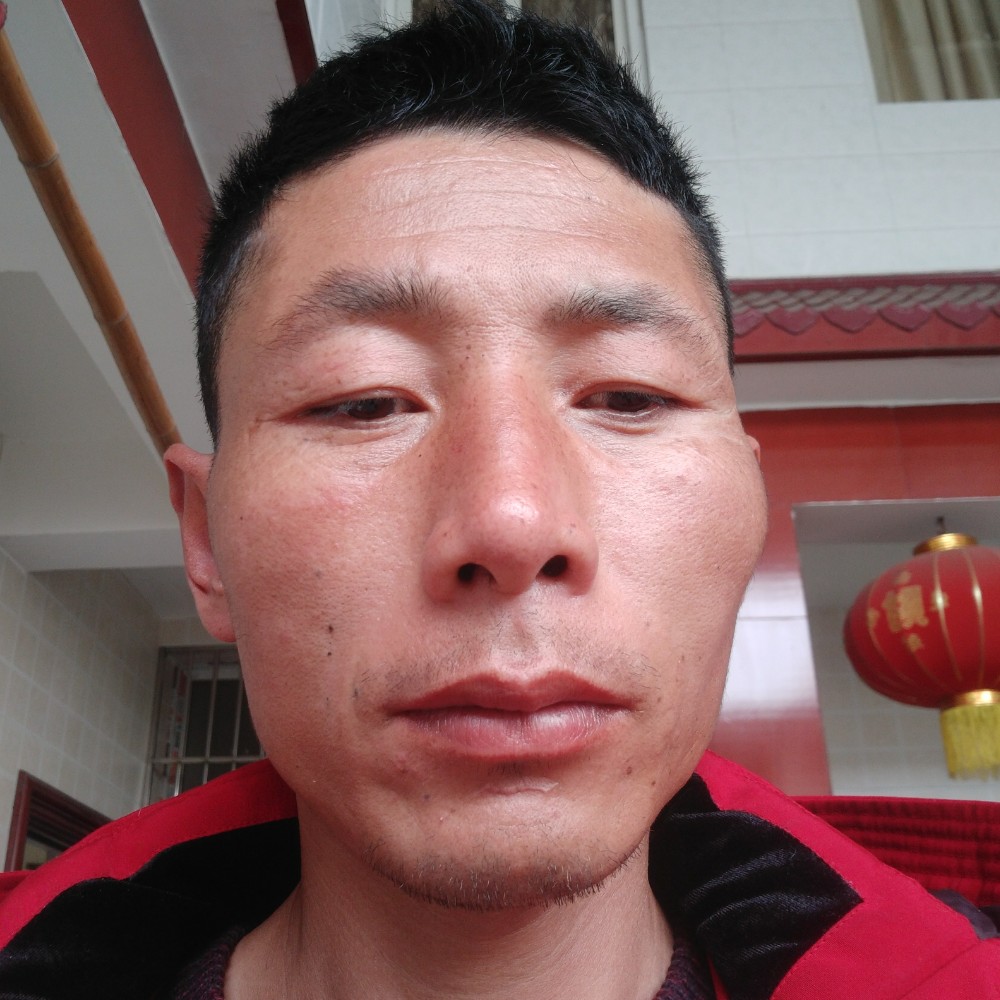 和谐花瓣的照片
