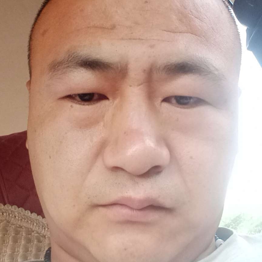 呆萌回眸羊的照片