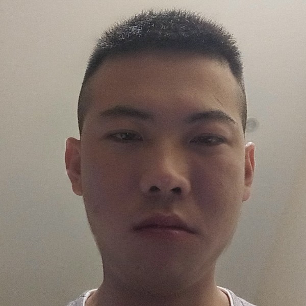 小熊猫兴奋的照片