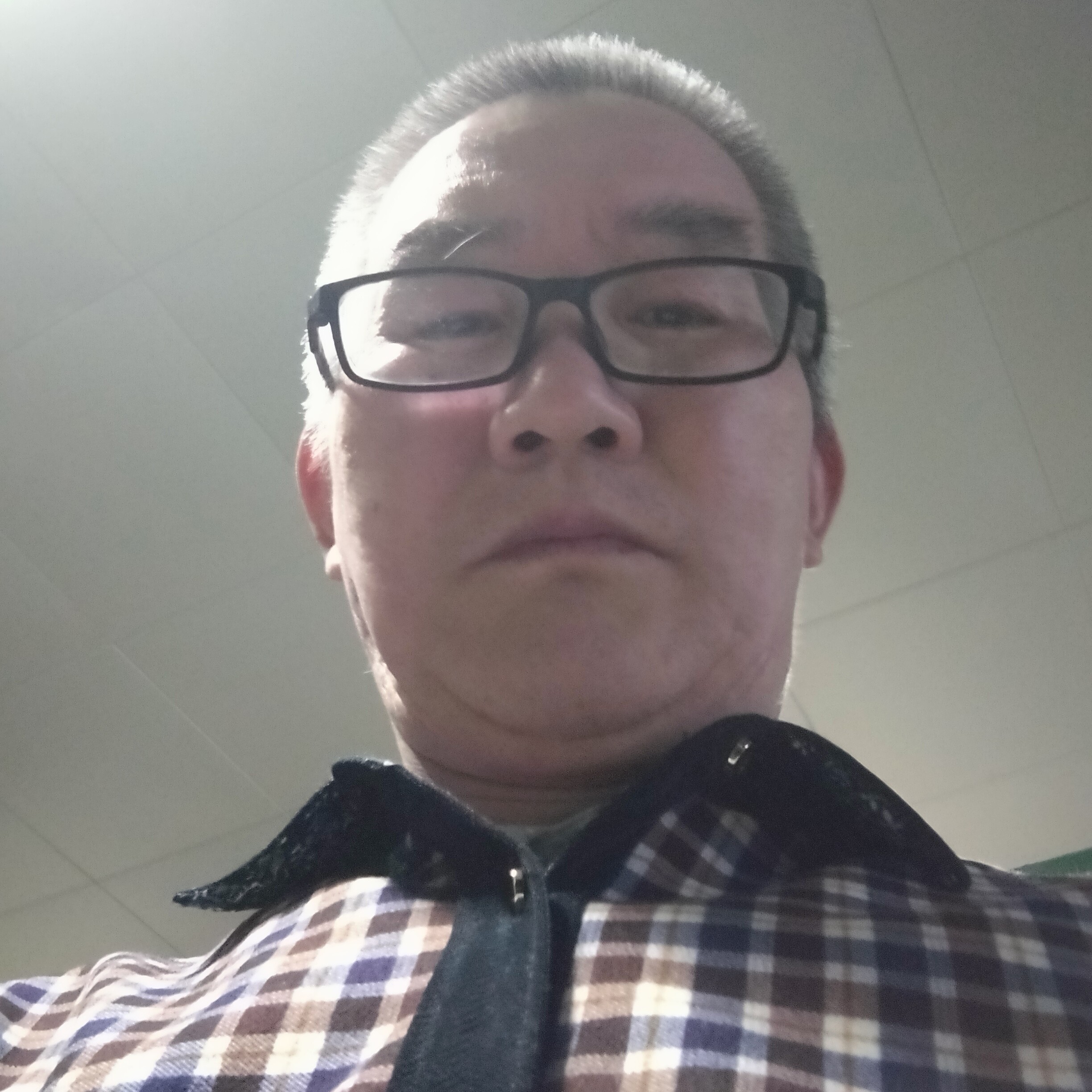 野狼用狂野的照片