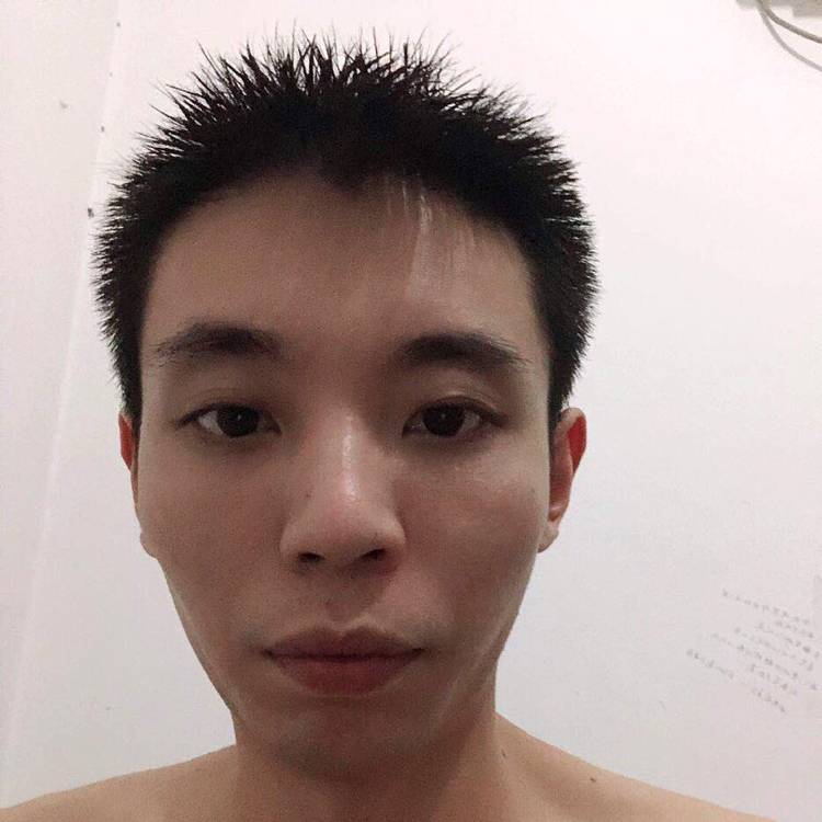 海螺的照片