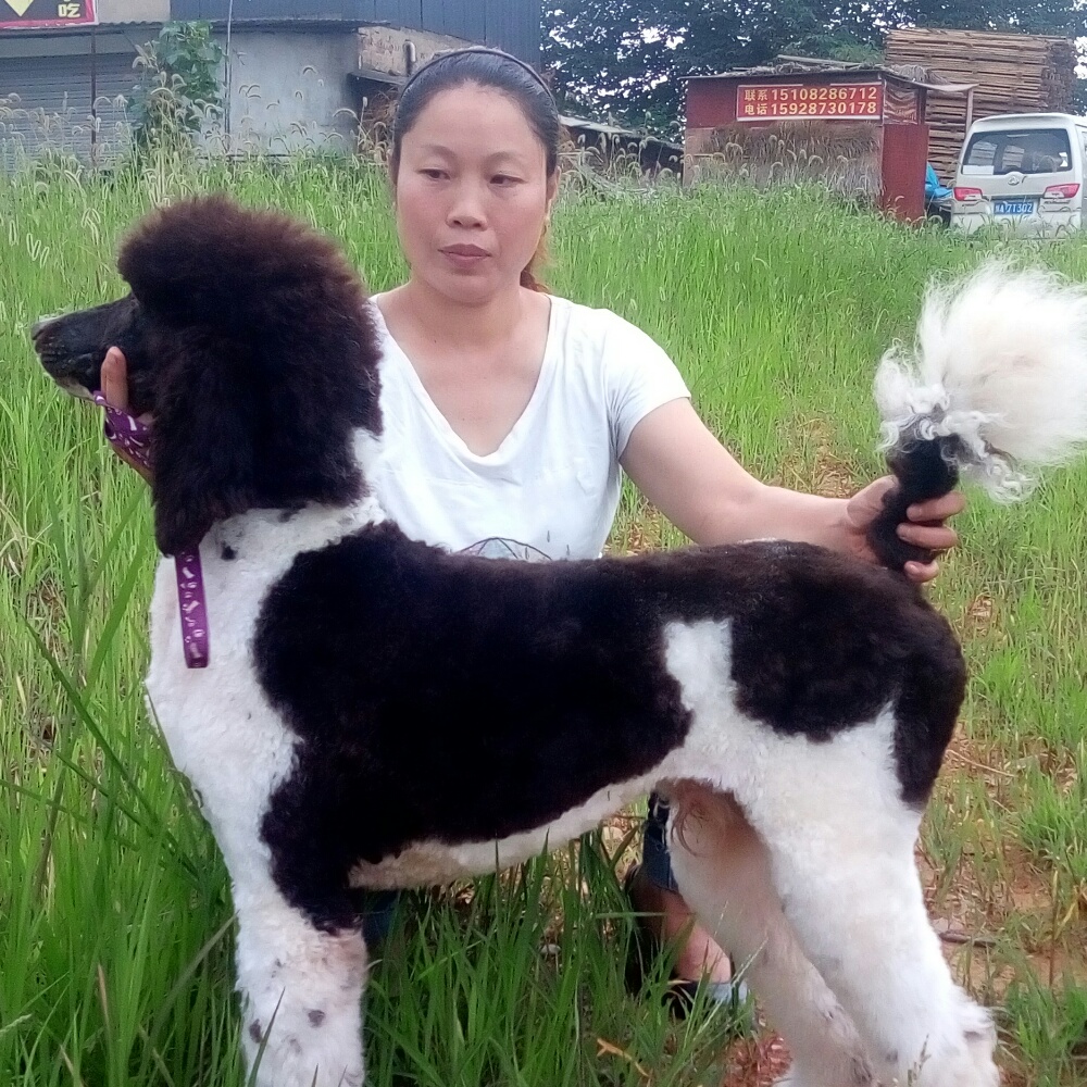 无垠蜡烛的照片
