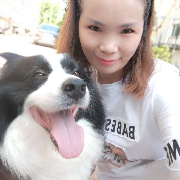 怕孤单那韶华的照片